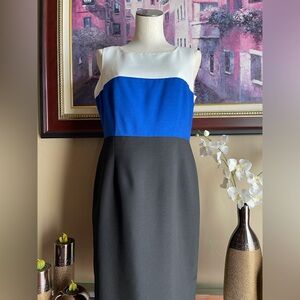 Black Label Evan Picone Color Block Dress